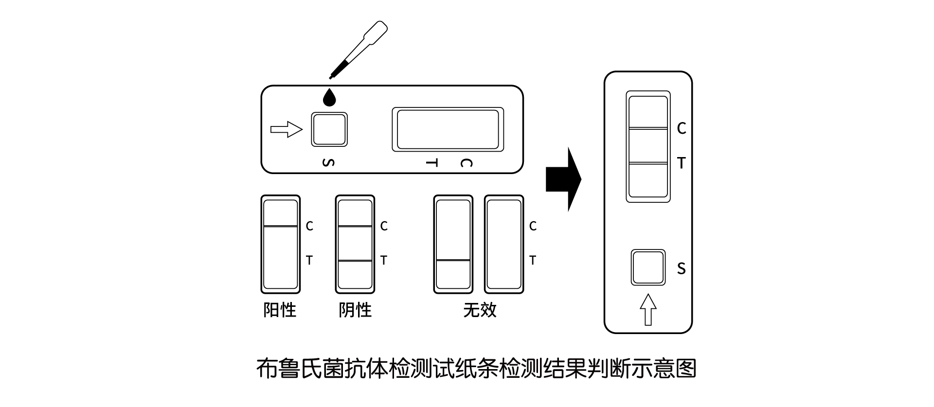 牛结核检测说明书22222
