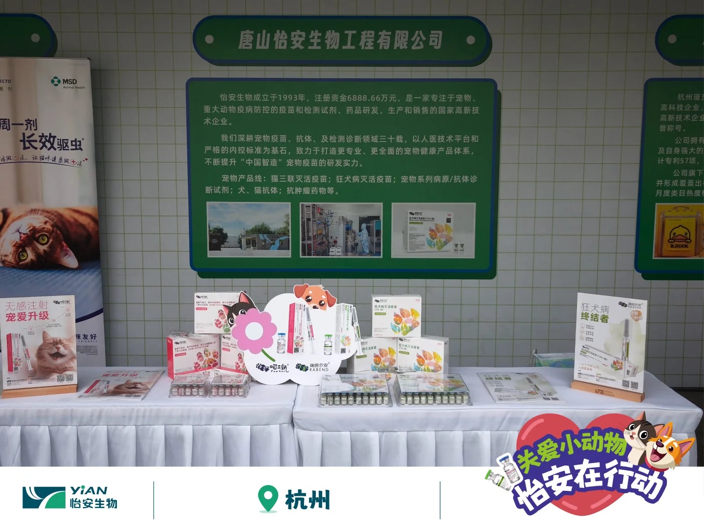 怡安携狂犬疫苗助力犬风铃行动，走进浙江_5_怡安生工_来自小红书网页版