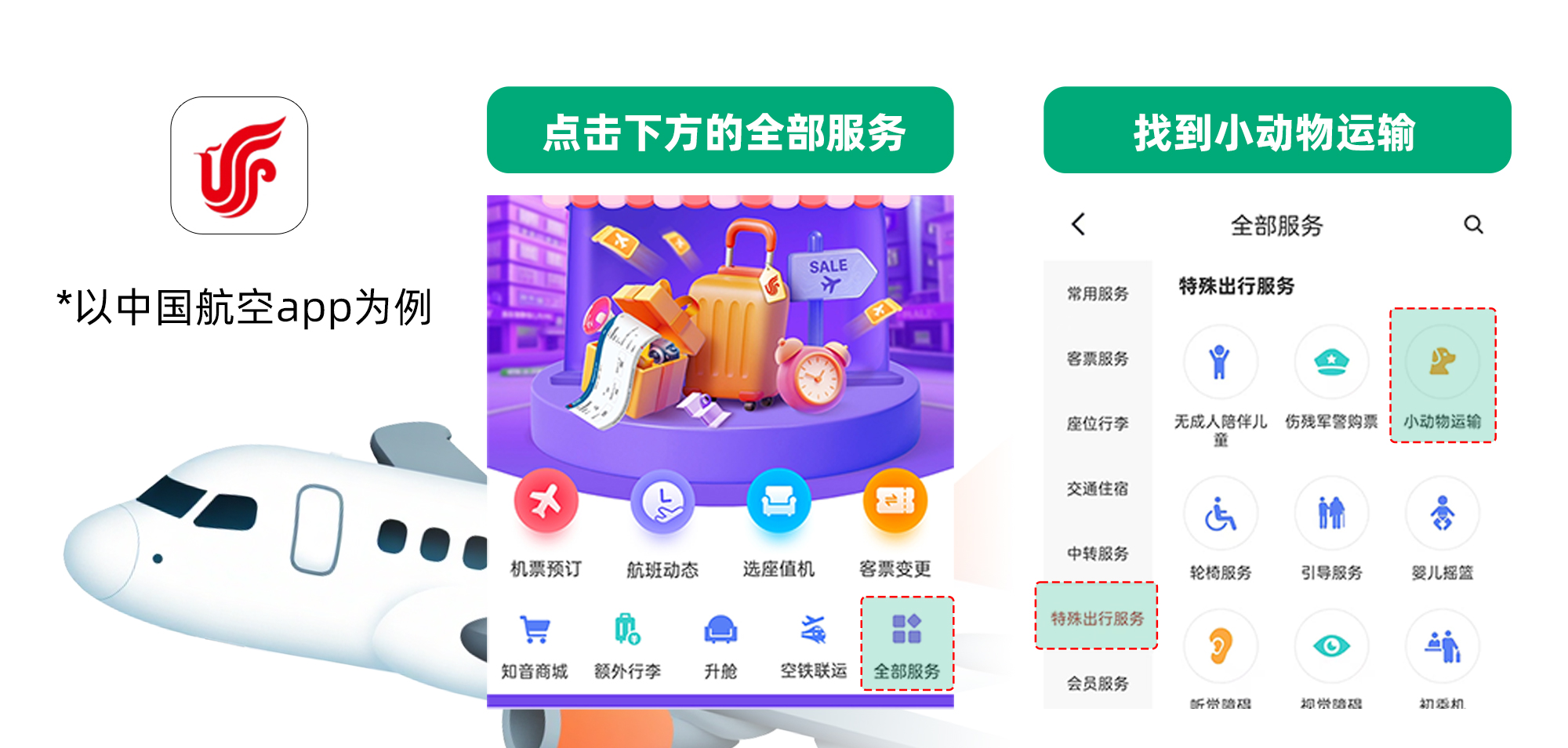 毛孩子可以坐飞机高铁啦---小红书尺寸