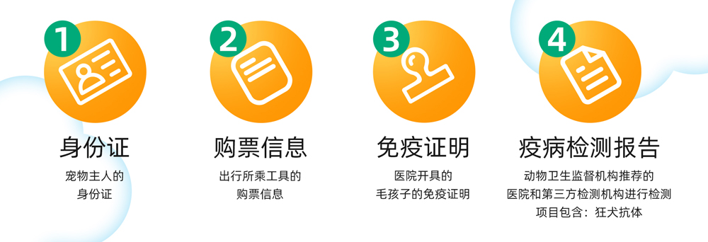 5毛孩子可以坐飞机高铁啦---小红书尺寸
