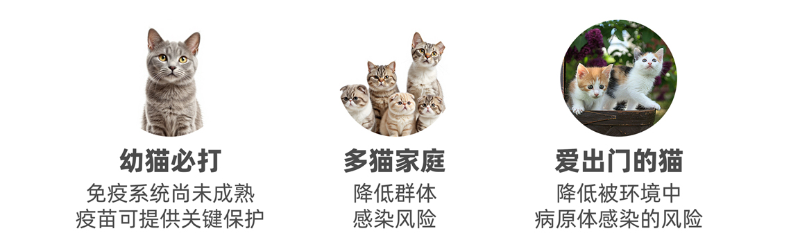 2234567配图